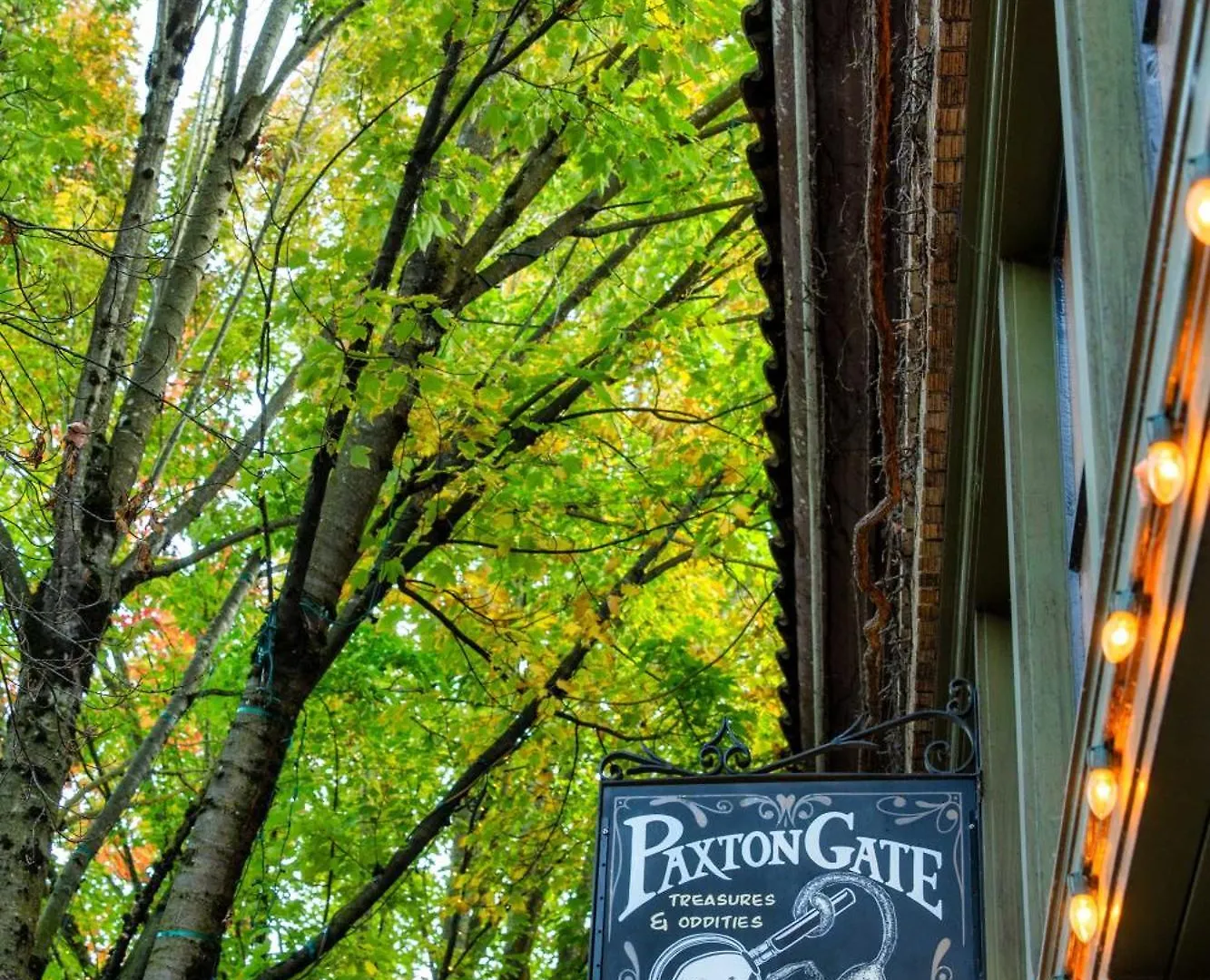 Stay Portland - 1910 Historic Jessie Morehead House - 98 Walkscore 公寓